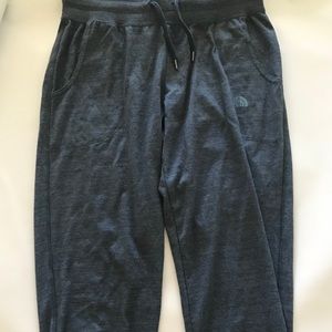NWT Blue gray The north face joggers
